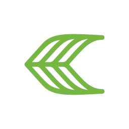 Cariuma logo
