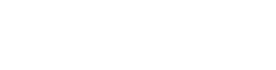 Image dls_store_logo_inverse