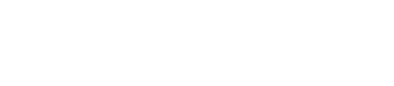 antonline logo