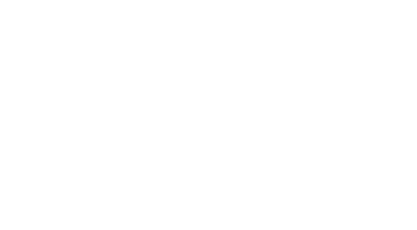 Image dls_store_logo_inverse