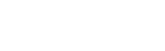 Image dls_store_logo_inverse